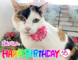 トリミング✂️