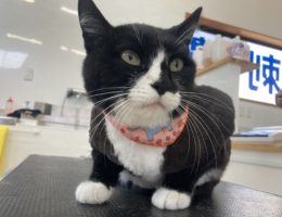 トリミング✂️