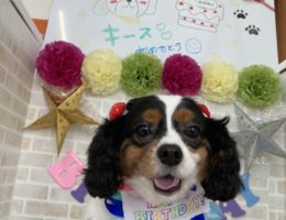 トリミング✂️