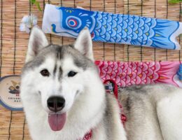 トリミング